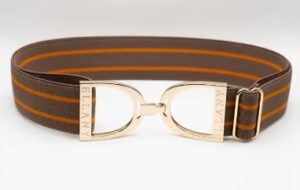 Ellany Ophelia 1.5" Gold Stirrup Elastic Belt - Image 2