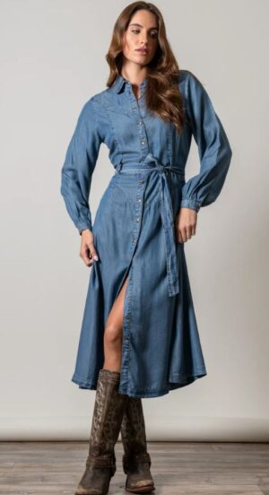 Kimes Channy Long Sleeve Denim Dress - Image 2